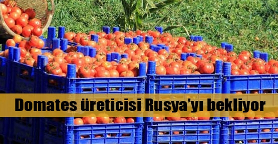 Çanakkale Rusya'dan umutlu