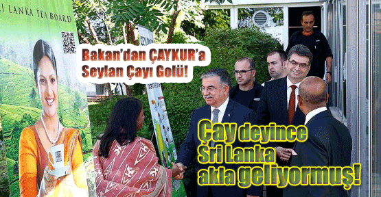 Çay deyince Sri Lanka akla geliyormuş!