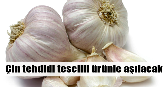 Çin tehdidine karşı tescilli sarımsak