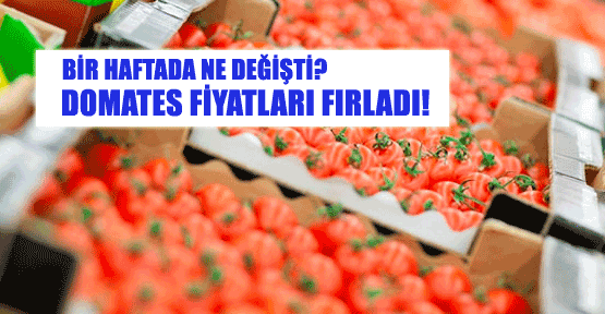 Domates fiyatları iki katına çıktı!