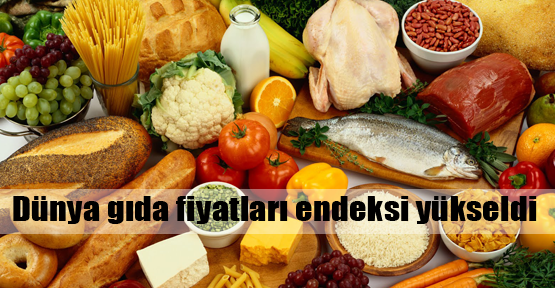 Dünya gıda fiyatları endeksi yükseldi 