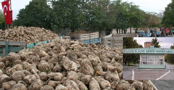 Elazığ Şeker Fabrikası özelleşiyor