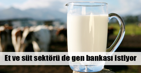 Et ve süt sektörü gen bankası istiyor