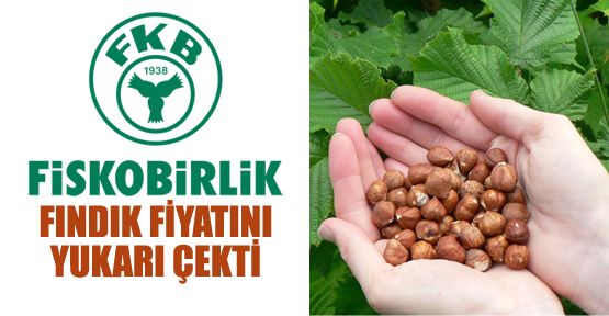 Fındık fiyatı 14 liraya yükseldi