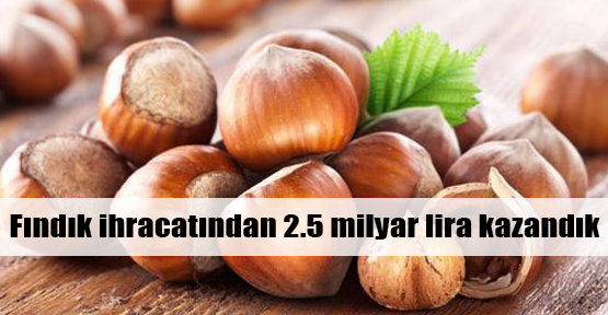 Fındıktan 2.5 milyar lira gelir sağlandı