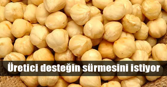 Fındık üreticisi desteğin sürmesini istiyor