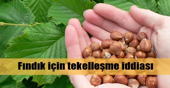 Fındıkta tekelleşme riski iddiası