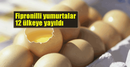 Fipronilli yumurta 12 ülkeye yayıldı