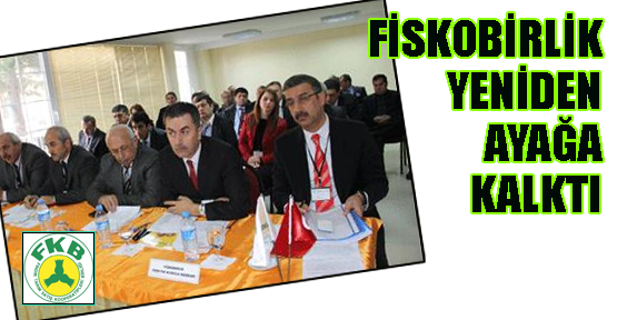 FİSKOBİRLİK'ten fındık politikası çıkışı