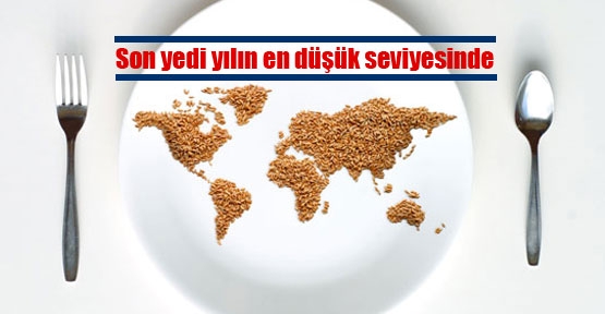 Gıda hammade fiyatları dibi gördü