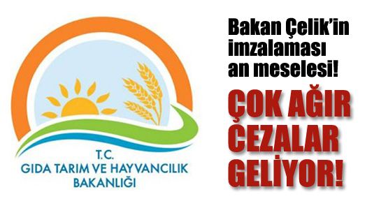 Gıda sektörüne çok ağır cezalar geliyor