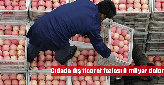  Gıdada dış ticaret fazlası 6 milyar dolar