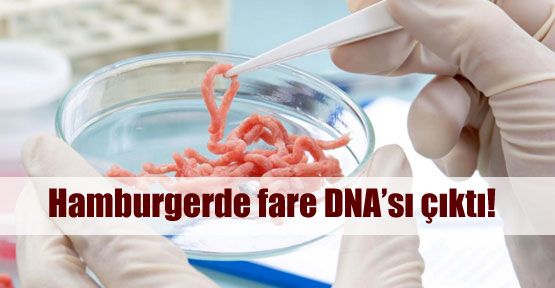 Hamburgerden fare DNA'sı çıktı