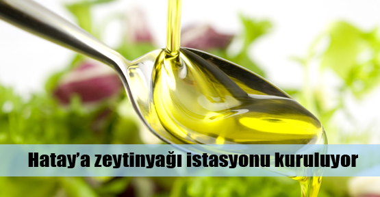 Hatay'a zeytin istasyonu kuruluyor