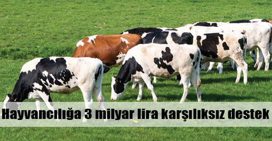 Hayvancılık için 'hibe' müjdesi