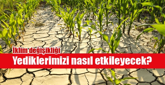 İklimler yediklerimizi nasıl etkileyecek?