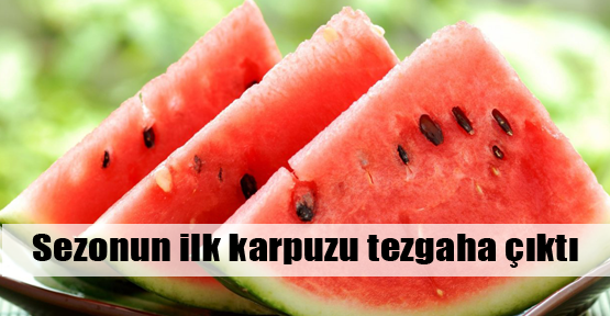 İlk yerli karpuz tezgaha çıktı