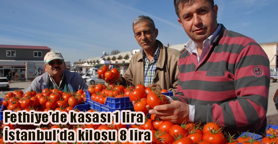 İstanbul'da domates 8 lira oldu!