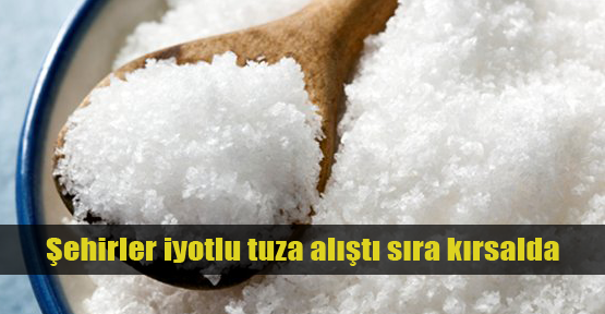 İyotlu tuz kullanımı artıyor