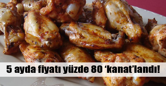 Kanat 5 ayda yüzde 80 zamlandı