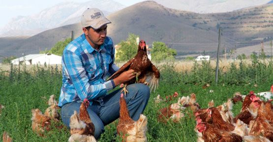 Kentlere köy yumurtası satıyor