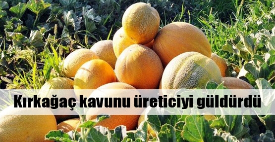 Kırkağaç kavunu bereket saçacak