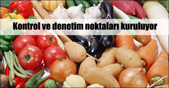 Kontrol ve denetim noktaları kuruluyor