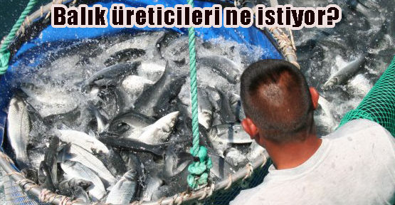 Kültür balığı üreticileri dertli