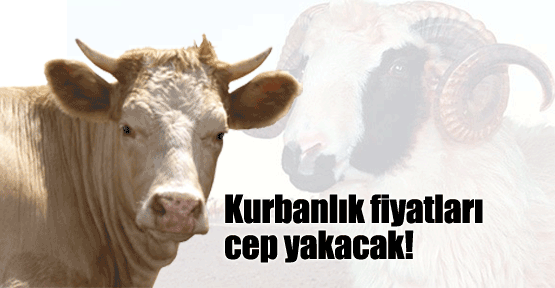 Kurban tartışması erken başladı