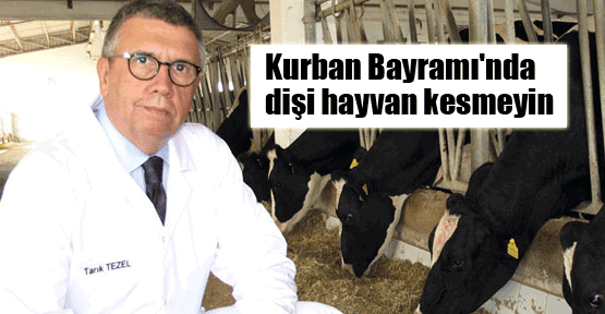 Kurban'da dişi hayvan kesmeyin!