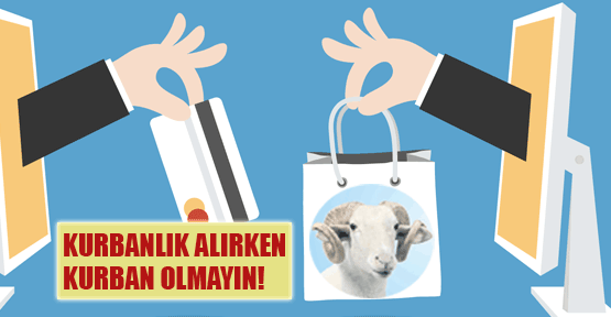 Kurbanlık alırken 'kurban' olmayın!