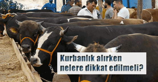 Kurban alırken nelere dikkat etmeliyiz?