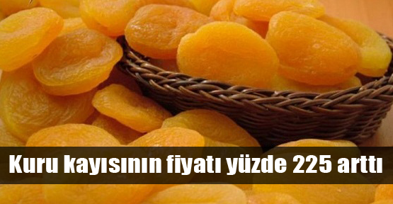 Kuru kayısının fiyatı yüzde 225 arttı