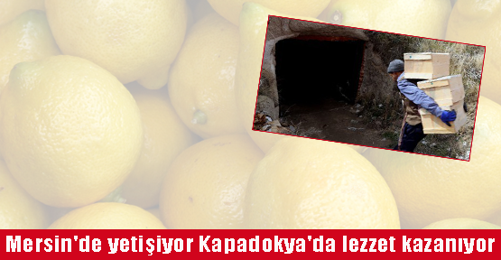 Limonlar bu mağaralarda sulanıyor