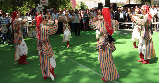 Mut Kayısı Festivali başladı