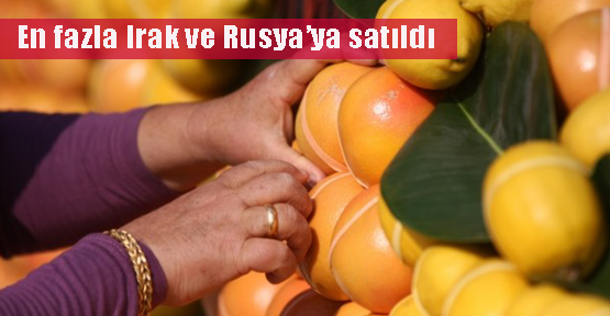 Narenciyede Irak ve Rusya farkı