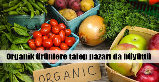 Organiğe talep pazarı da büyüttü