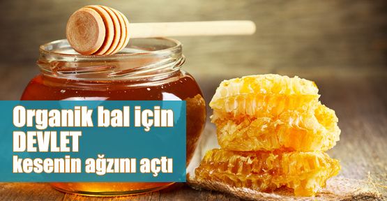 Organik bal için kesenin ağzını açtı