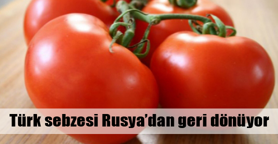 Rusya bunu hep yapıyor!