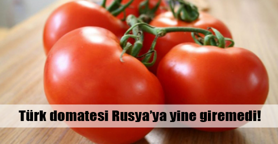 Rusya Türk domatesine kapalı!