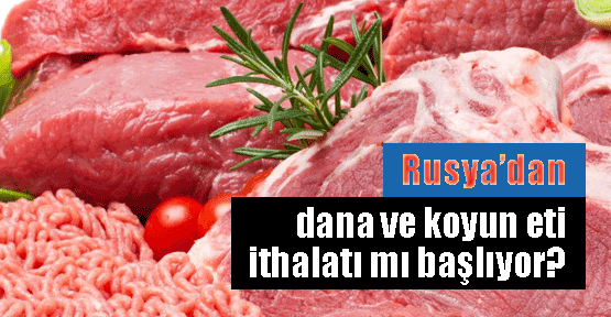 Rusya'da dana ve koyun denetliyoruz!