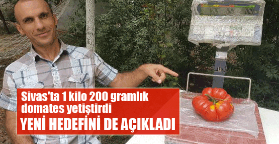 Sivas'ta 1 kilo 200 gramlık domates