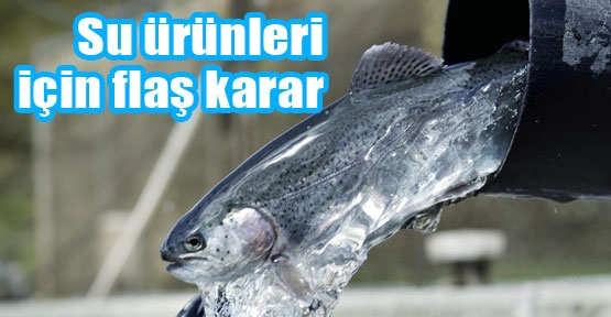 Su ürünleri için flaş karar