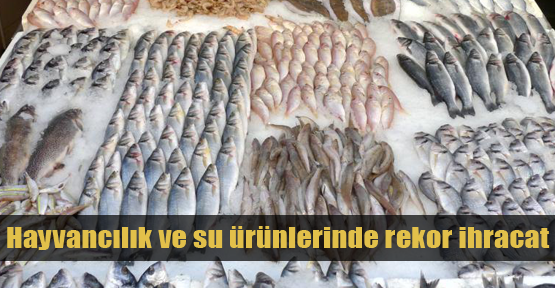 Su ürünlerinden rekor ihracat