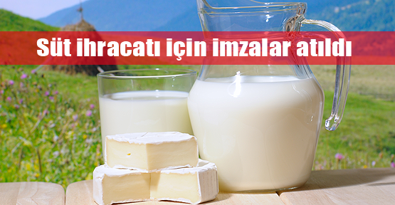 Süt üreticisine ihracat müjdesi