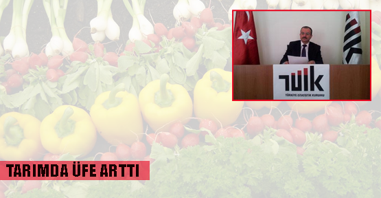 Tarım ÜFE oranları arttı