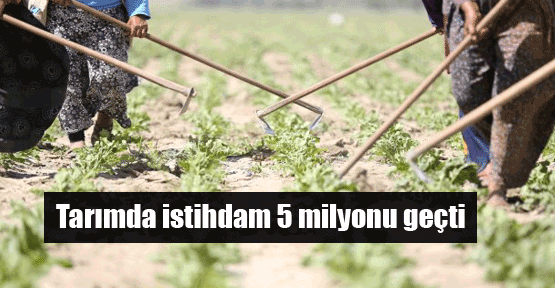 Tarımda istihdam 5 milyonu geçti