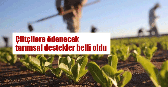 Tarımsal destek ödemeleri beli oldu