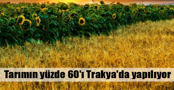 Tarımsal ithalatta GDO iddiası
