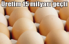 11 ayda 15 milyar yumurta üretildi